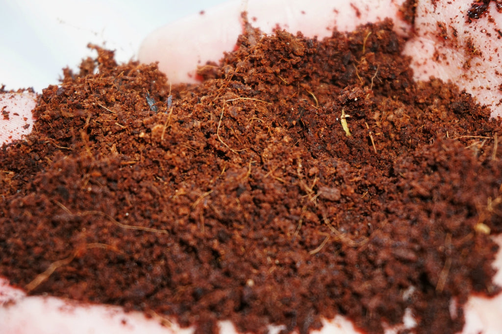 Coco Coir Brick – OMRI Organic, Peat-Free Growing Medium – Thunder