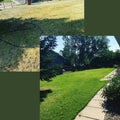*NEW* 50lb Bag Homestead Organic Fertilizer