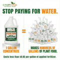 Organic Liquid Kelp Seaweed