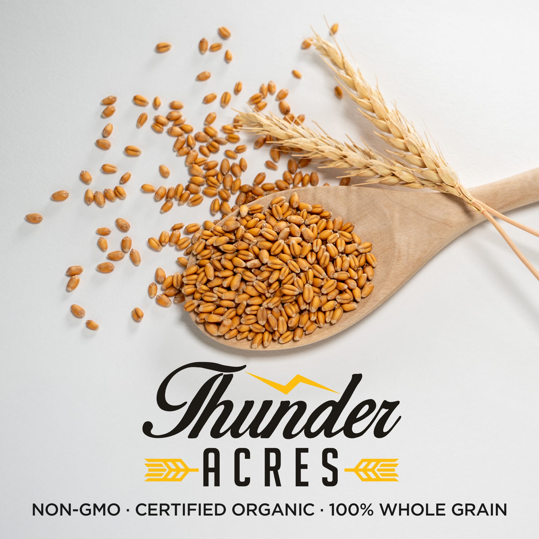 winter wheat seeds for planting Thunder Acres Premium Soft Red Winter Wheat Seed, Wheat Berries 5lb Soft Wheat