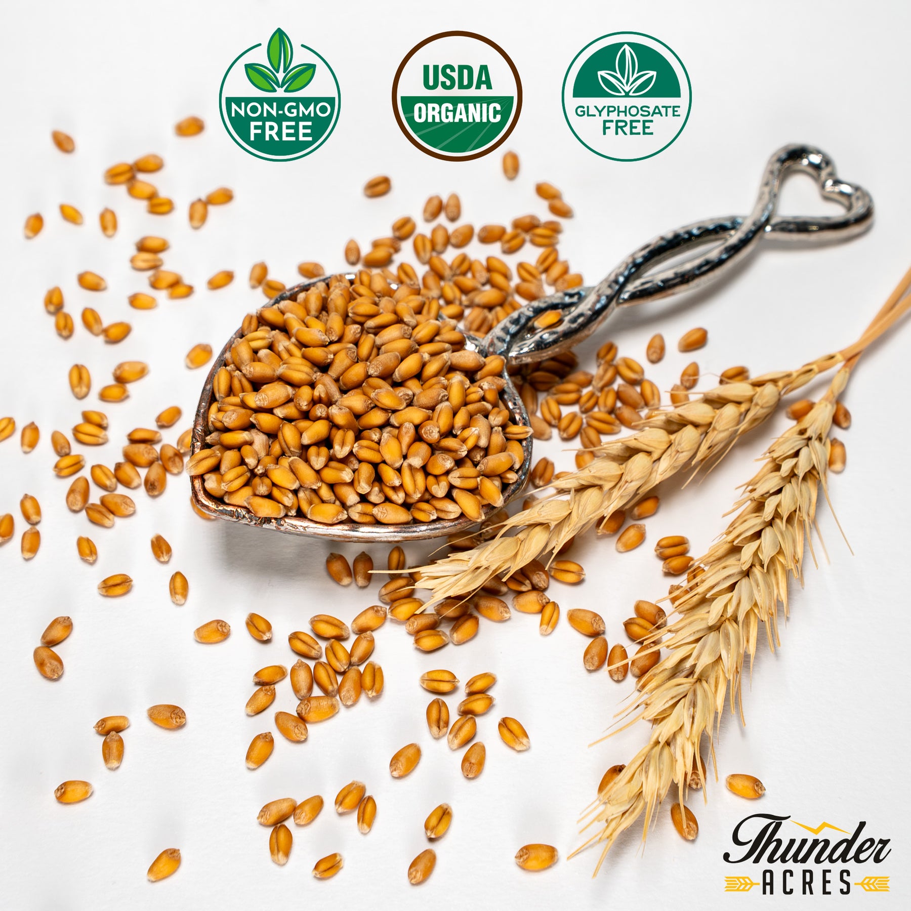 winter wheat seeds for planting Thunder Acres Premium Soft Red Winter Wheat Seed, Wheat Berries 5lb Soft Wheat