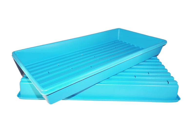 blue grow tray with holes