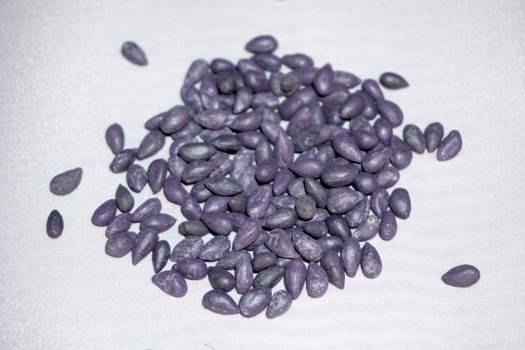 cotton seed for planting Pure White Cotton Seed