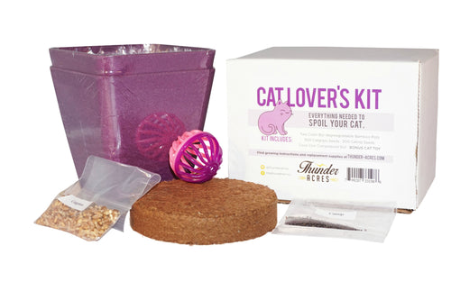 purple cat kit