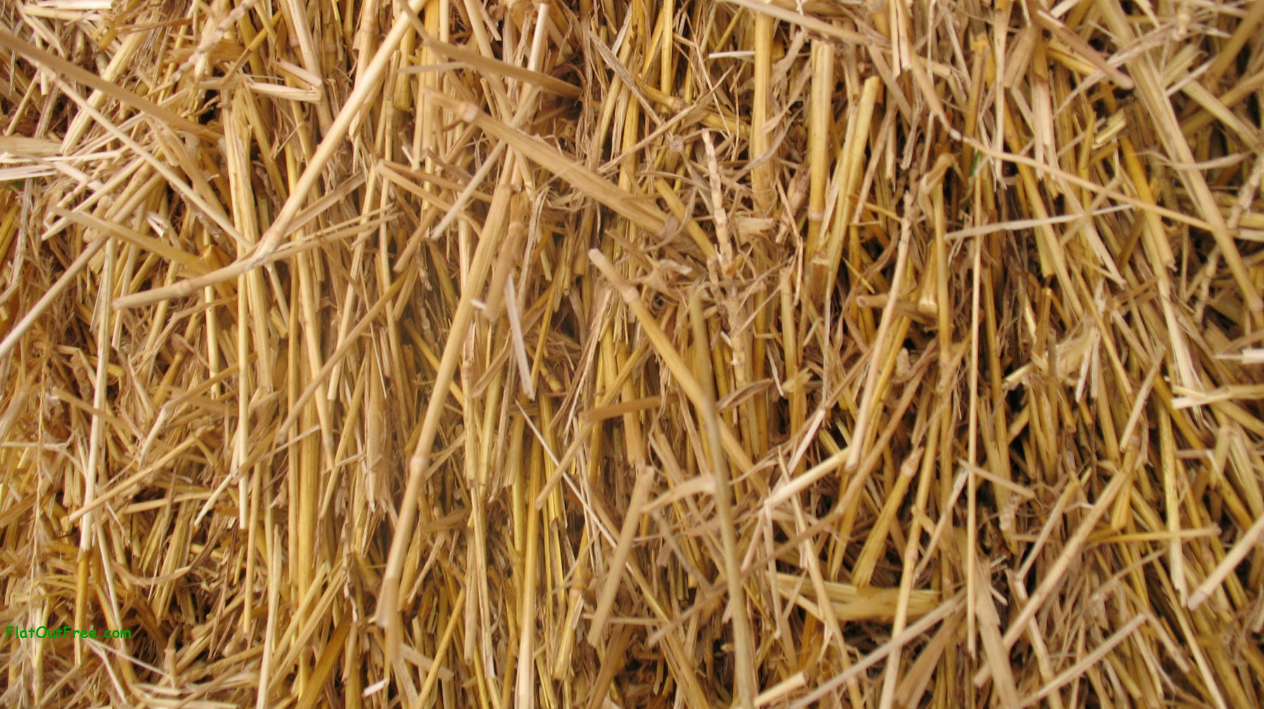 100% Natural Wheat Straw 8 lbs.