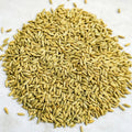 rye seeds